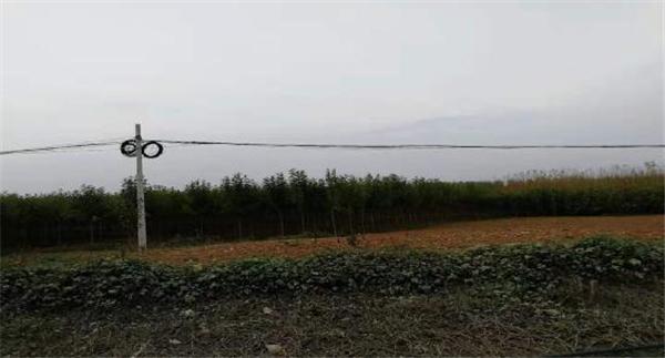 多元文化課堂引導策略，如何引導學生深入理解多元文化理念？