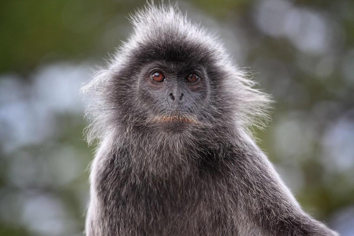 跨文化教學(xué)，如何提升學(xué)生的社會(huì)適應(yīng)性技能