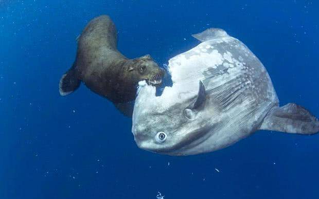 教育公平，人人機(jī)會(huì)均等，成就無限可能