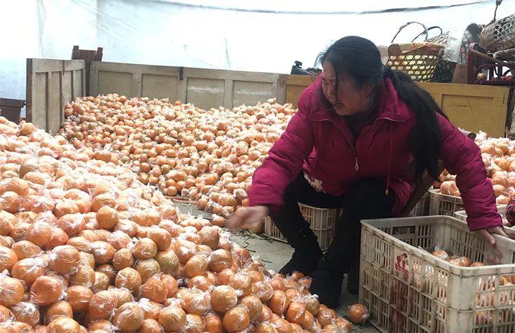 避免緊急求助詐騙陷阱的方法與策略