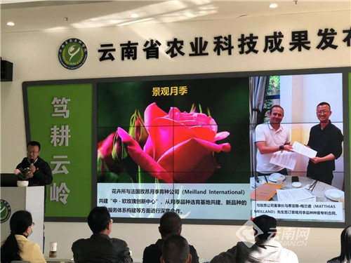 教育與科技融合，創(chuàng)新動(dòng)力的源泉