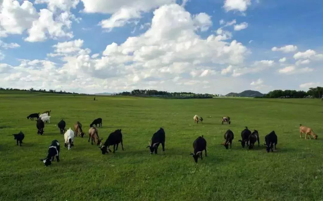 旅行中如何有效管理飲食，避免暴飲暴食指南