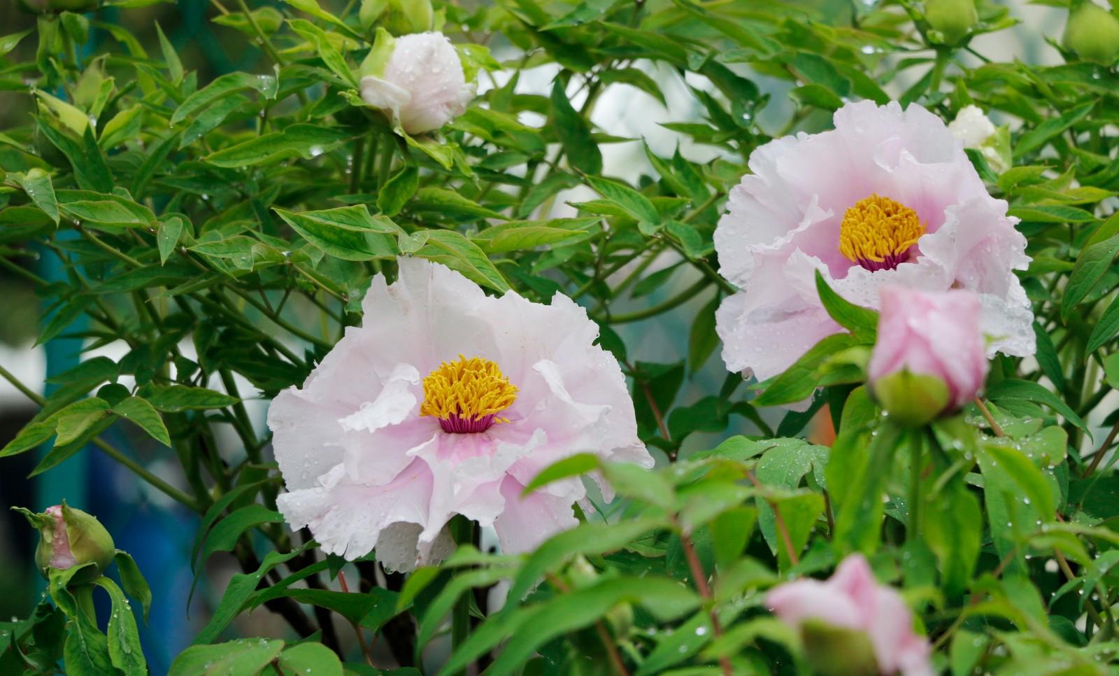 旅行中氣候突變應(yīng)對策略指南