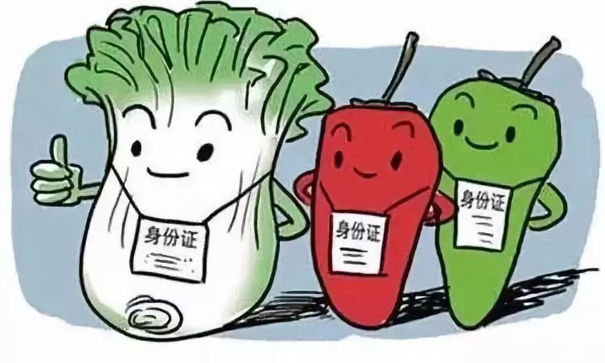 健康食品選擇指南，旅行中避免消化不良