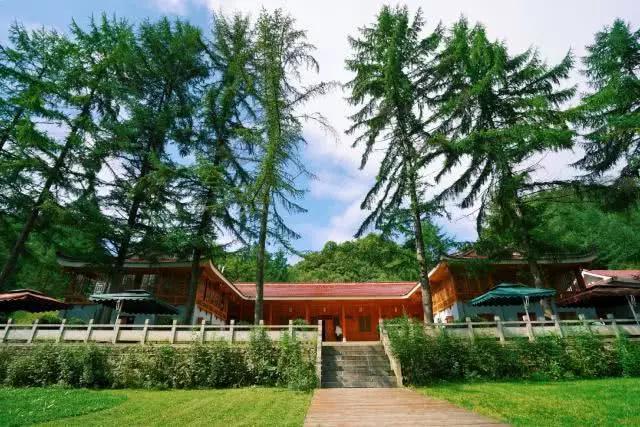 旅行中的健康飲食指南