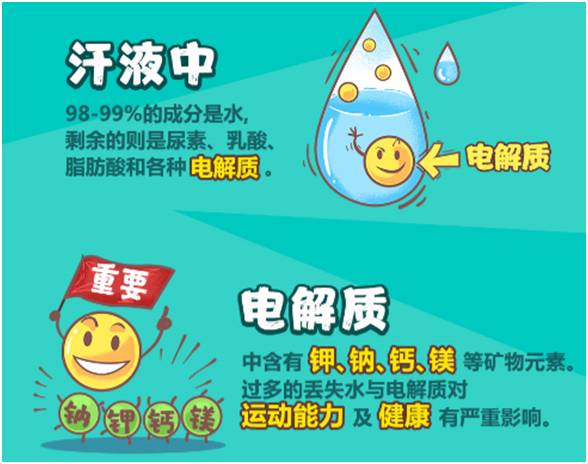 旅行中如何確保充足的水分補充