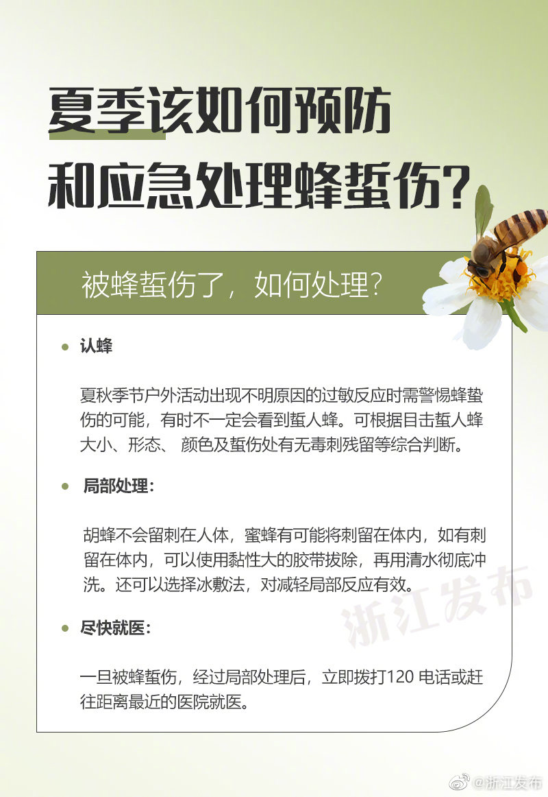 蜂蜇傷緊急處理與家庭急救指南