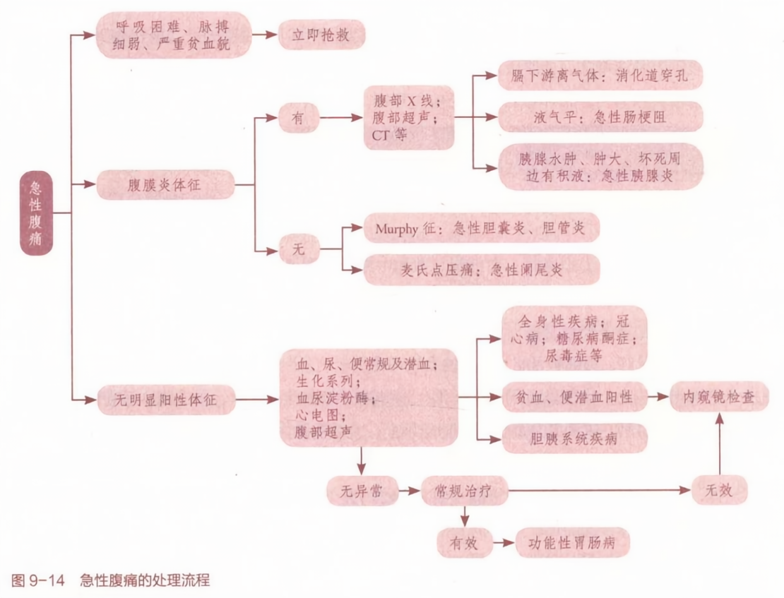 急性腹痛的緊急處理與急救技巧指南