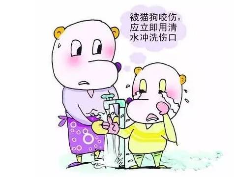 割傷傷口的正確清潔與家庭急救指南