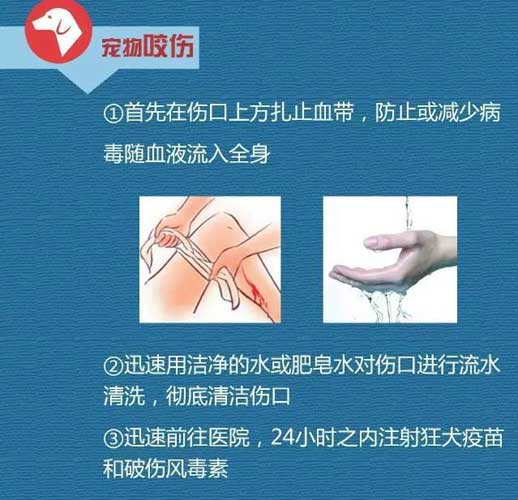 家庭急救指南，應(yīng)對(duì)打傷傷口的處理方法