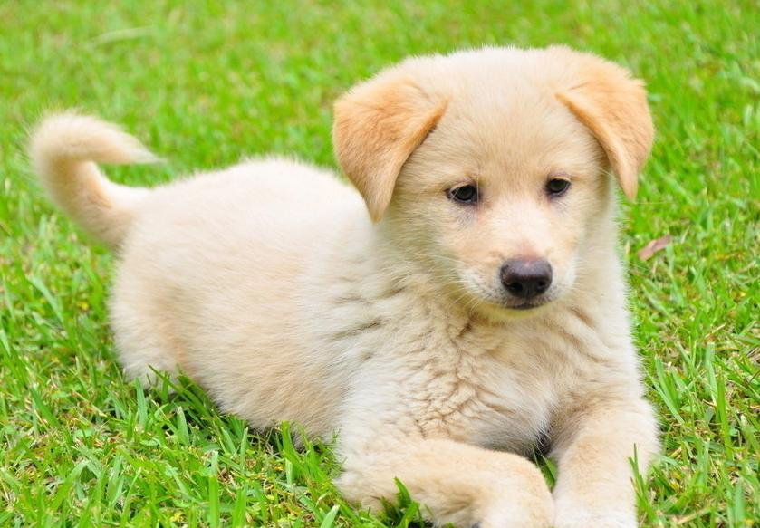 夢(mèng)璃子 第12頁(yè)