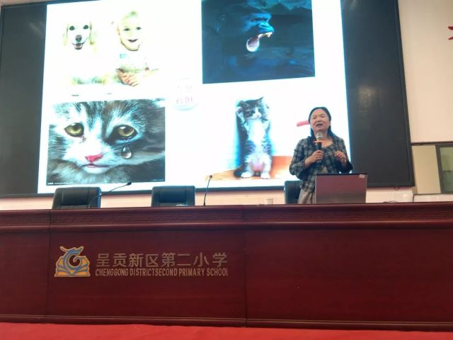 青少年情緒管理與心理健康教育培訓(xùn)