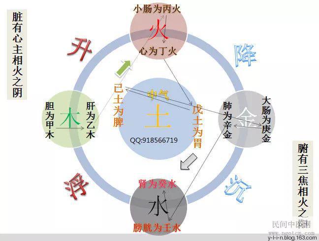 中醫(yī)陰陽五行理論在養(yǎng)生中的實踐應(yīng)用