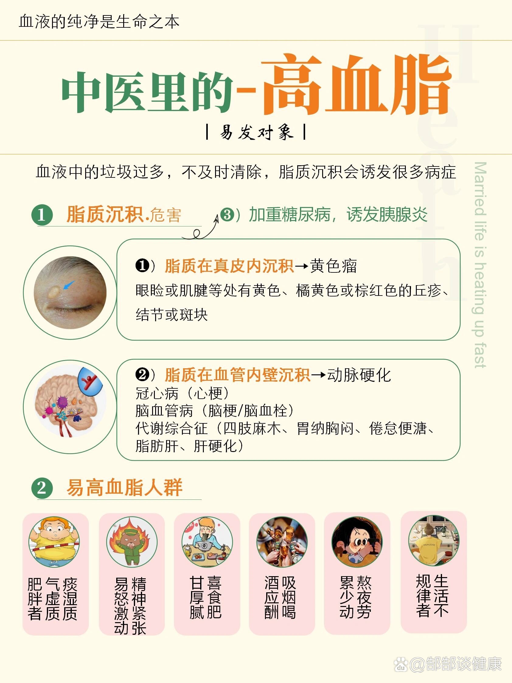 中醫(yī)預(yù)防高血脂的策略與實(shí)踐