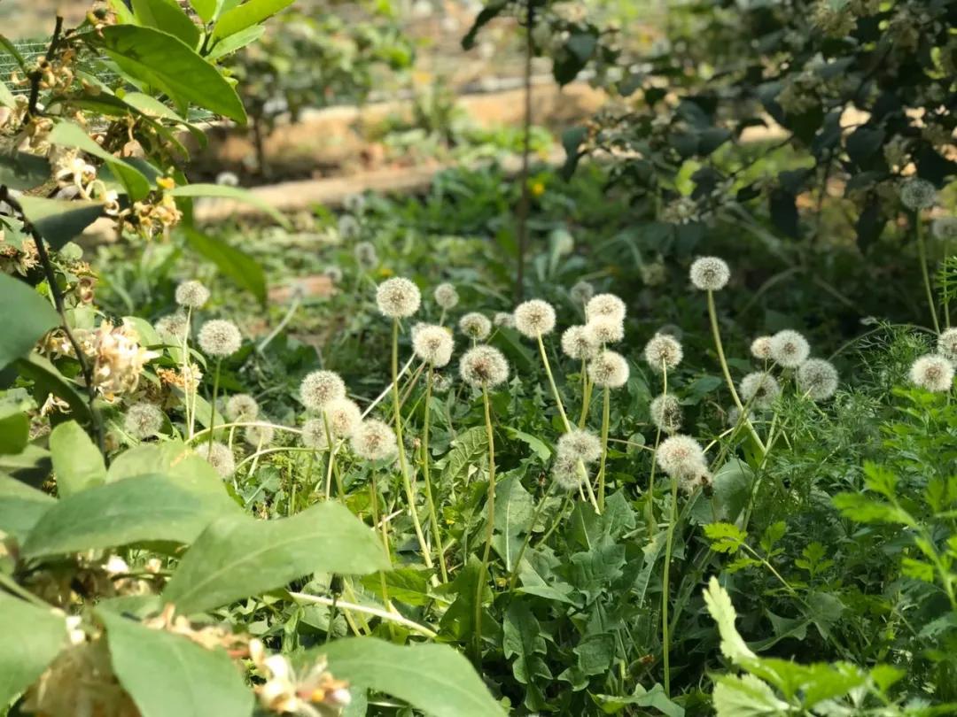 中醫(yī)智慧助力緩解運動后疲勞，運動恢復新策略