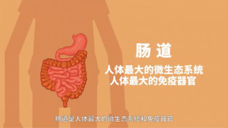 中醫(yī)養(yǎng)生法，提升腸道健康之道