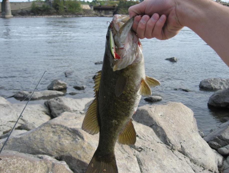 家庭教育，如何提升孩子的學(xué)業(yè)成就感