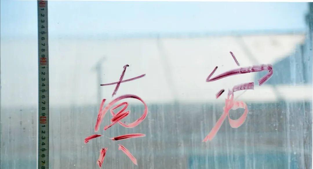 刑警揭秘，鶴崗大案真相浮出水面