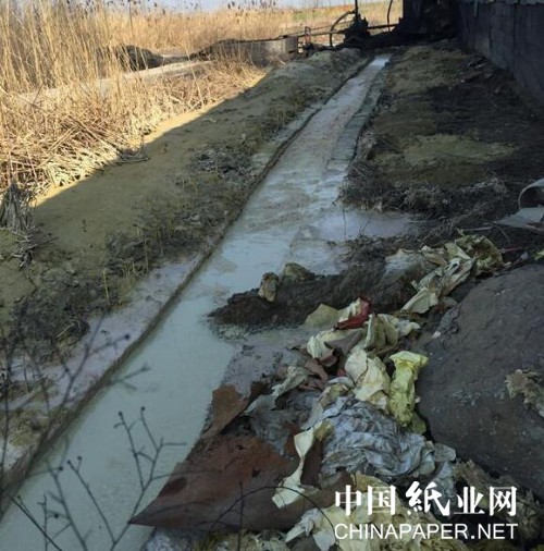 2024年12月1日 第31頁