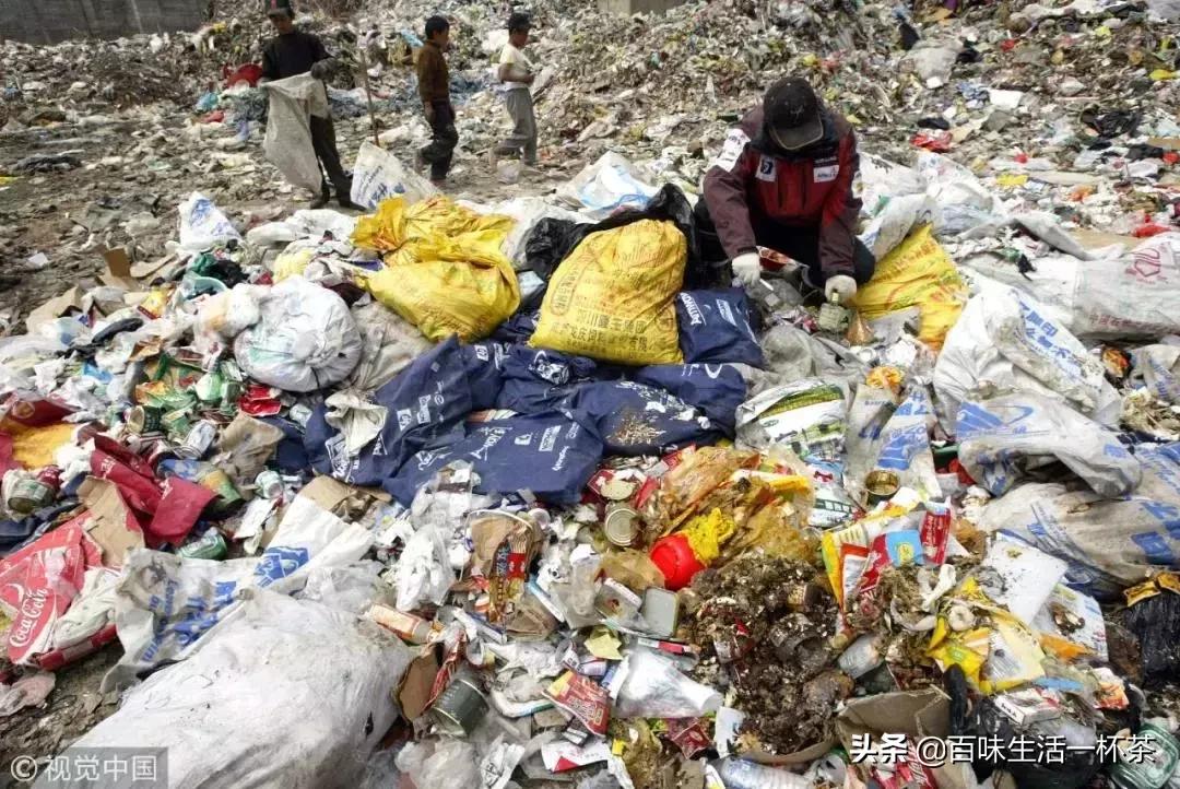 珠峰探險(xiǎn)團(tuán)隊(duì)環(huán)保行動(dòng)成功，守護(hù)巔峰之美的壯舉