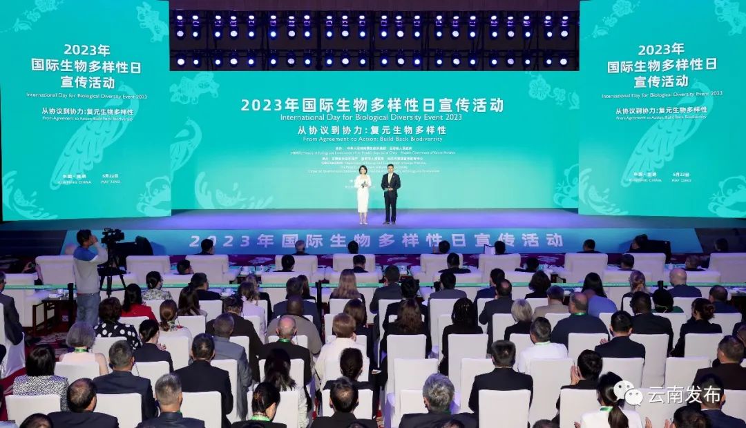 煙月稀 第11頁(yè)