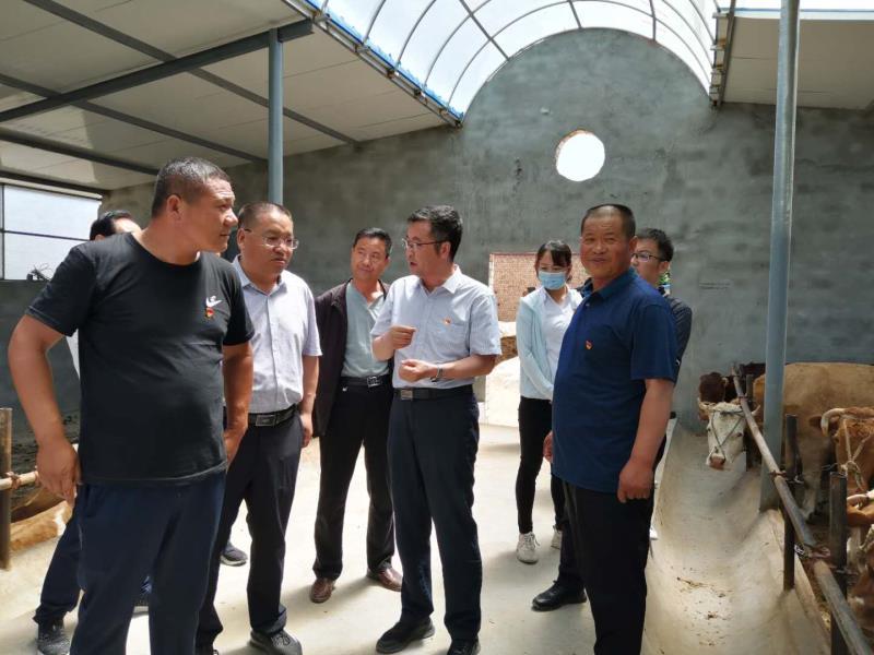 綠色農(nóng)業(yè)新模式吸引國(guó)際關(guān)注