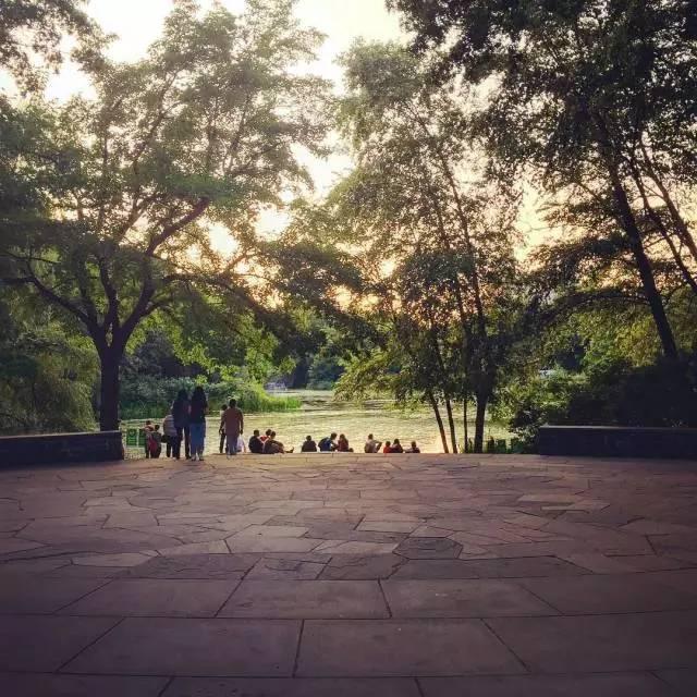 國(guó)內(nèi)多地賞楓季啟幕，旅游熱潮重燃