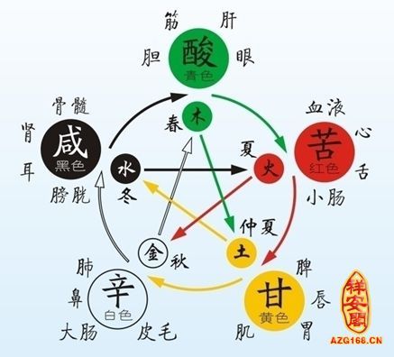 中醫(yī)陰陽五行理論在養(yǎng)生中的實踐應(yīng)用
