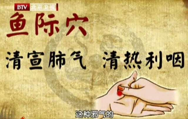 中醫(yī)調(diào)理，提升免疫力之道