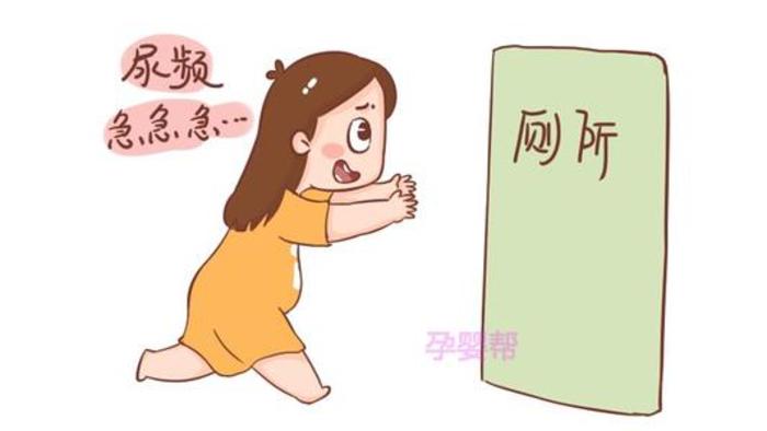 中醫(yī)調(diào)理策略，維護膀胱健康，告別尿頻困擾