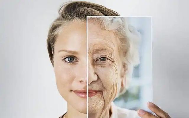 中醫(yī)在抗衰老過程中的作用與應(yīng)用探討