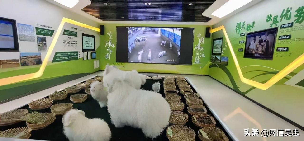 經(jīng)濟(jì)與科技的融合推動(dòng)社會(huì)創(chuàng)新發(fā)展