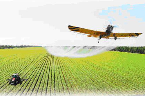 高科技農(nóng)業(yè)引領(lǐng)區(qū)域經(jīng)濟創(chuàng)新之路