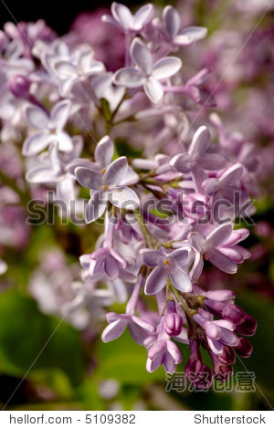 激情綜合色五月丁香六月歐美,智能數(shù)據(jù)全面調(diào)度_天行版07.15.89