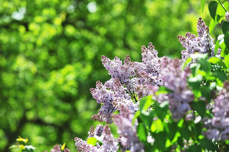 激情綜合色五月丁香六月歐美,智能數(shù)據(jù)全面調(diào)度_天行版07.15.89