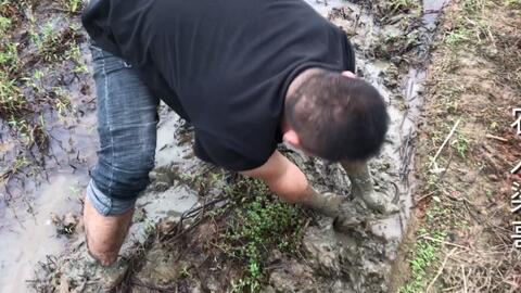 農村老熟婦亂子倫視頻,智慧工具提升模式_星航版38.08.93