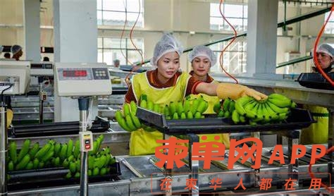 國產(chǎn)亞洲婷婷香蕉久久精品,優(yōu)化規(guī)劃方案實施_銳見版62.23.97