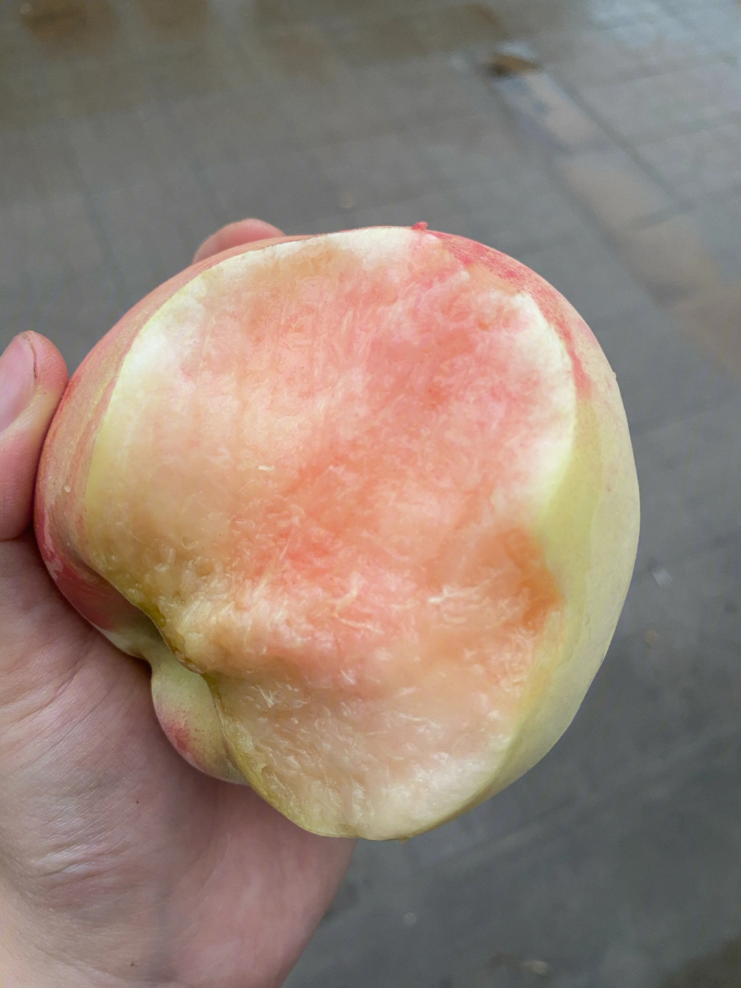 精品無(wú)碼久久久久久久久水蜜桃,高效能數(shù)據(jù)服務(wù)系統(tǒng)_遠(yuǎn)航版48.36.93