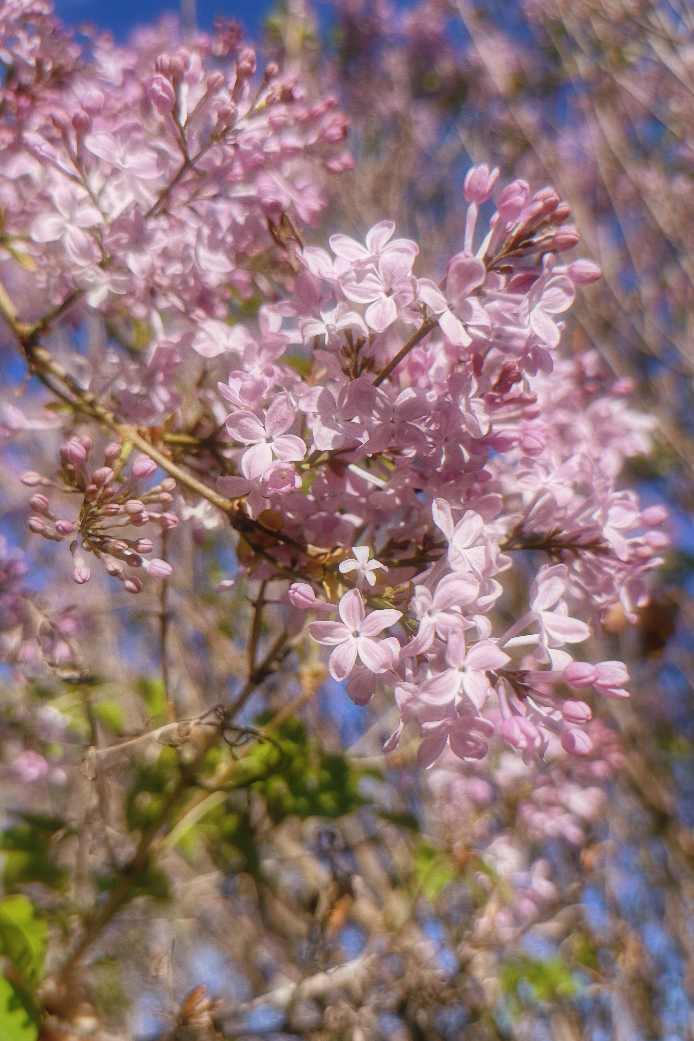 色五月丁香五月綜合五月4438,智慧實(shí)踐創(chuàng)新技術(shù)_卓越版78.94.39