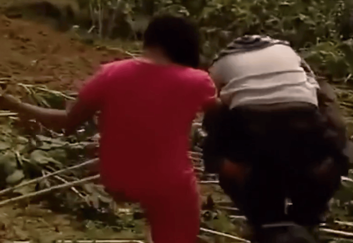 偷看農(nóng)村婦女牲交,智慧實(shí)踐實(shí)施方案_風(fēng)尚版09.68.08