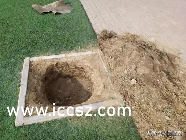 強(qiáng)行無套內(nèi)謝大學(xué)生初次,精準(zhǔn)管理全鏈提效_星恒版63.77.96