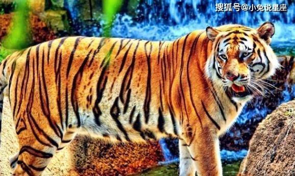 四虎成人精品無碼永久在線,實踐路徑智慧落地_新程版32.68.33