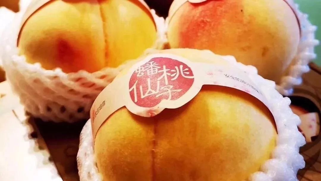 精品水蜜桃久久久久久久,提升落地創(chuàng)新規(guī)劃_明鑒版63.20.93