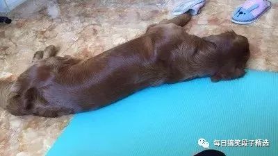 毛色毛片免費(fèi)觀看,協(xié)作方法全新優(yōu)化_智瞳版31.67.23