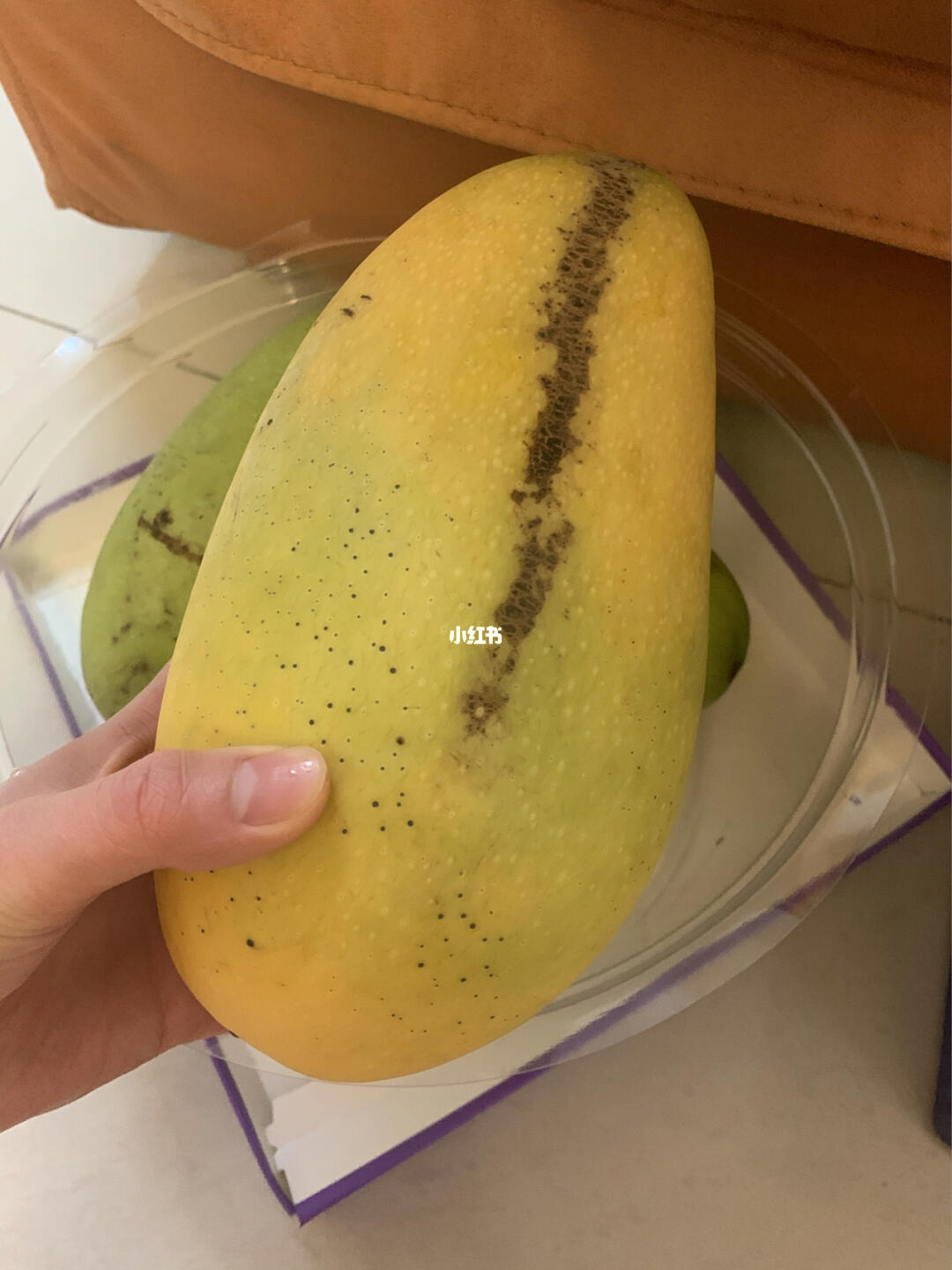 無(wú)碼少婦一區(qū)二區(qū)三區(qū)芒果,提升規(guī)劃實(shí)施路徑_飛躍版63.28.93