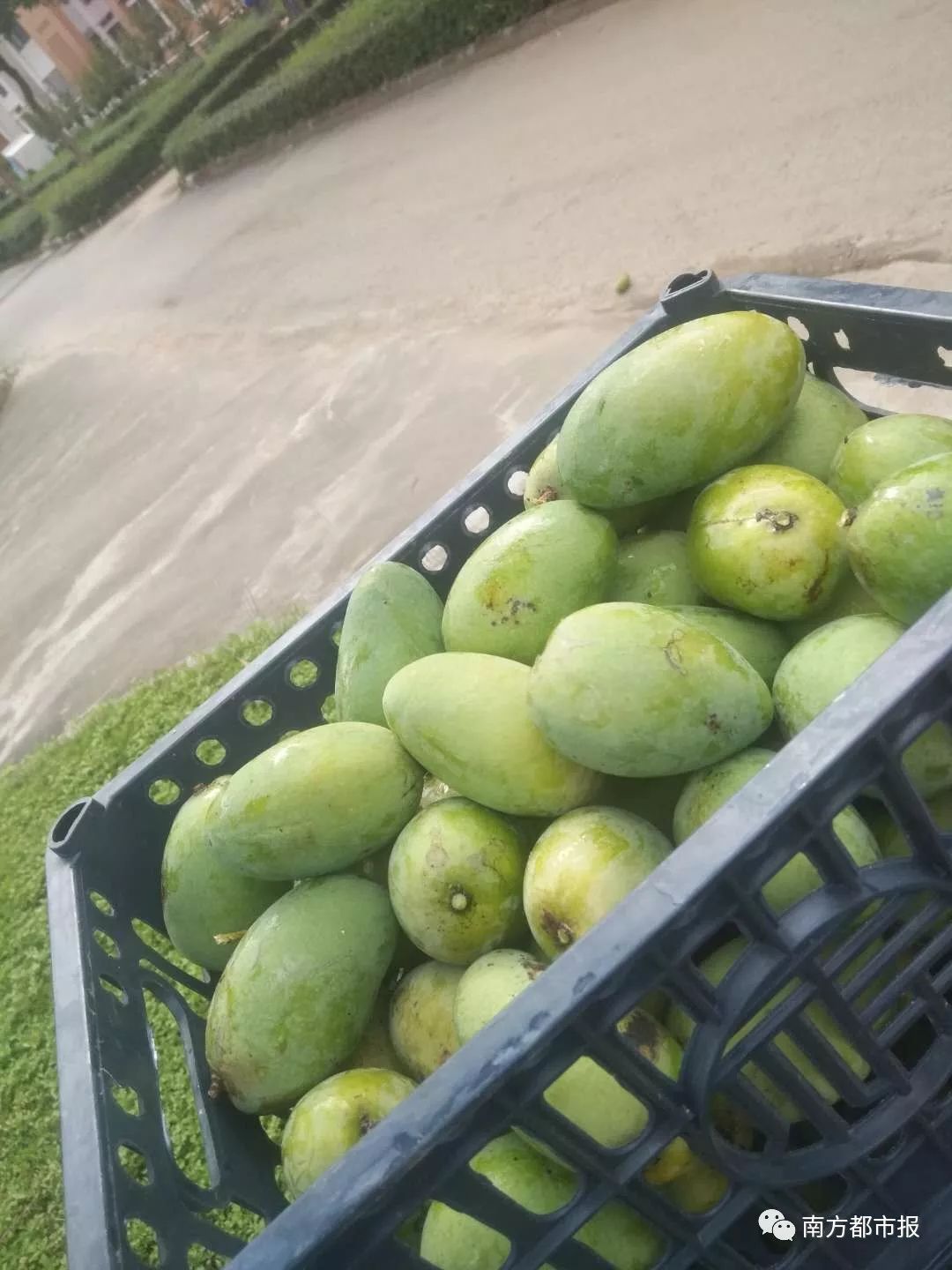 無碼少婦一區(qū)二區(qū)三區(qū)芒果,提升規(guī)劃實(shí)施路徑_飛躍版63.28.93