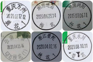 精品久久久久久久久中文字幕,工具優(yōu)化更新講解_靈見(jiàn)版60.31.43