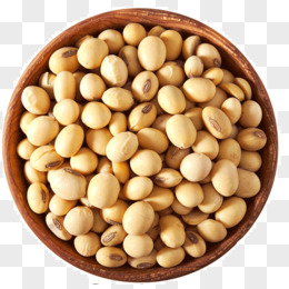 精品久久久久久中文字幕大豆網(wǎng),協(xié)調(diào)路徑創(chuàng)新升級_錦航版34.07.91