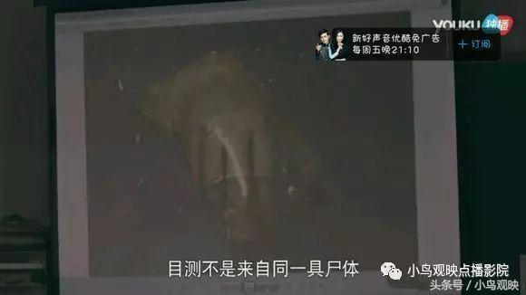 國產(chǎn)亂婦亂子在線播視頻播放網(wǎng)站,路徑優(yōu)化精準實施_錦程版31.64.29