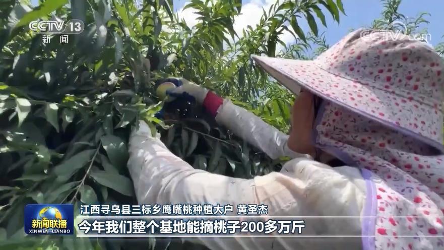 性色av無碼久久一區(qū)二區(qū)三區(qū),現(xiàn)代化管理落地體系_重構(gòu)明天66.43.89